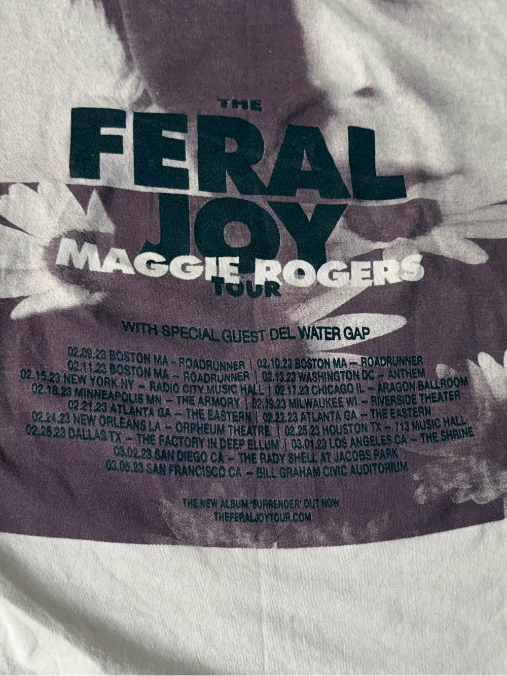 The Feral Joy Maggie Rogers Tour Graphic Tee - Purple/White Size Small 💵